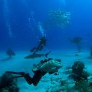 Turks & Caicos Aggressor