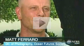 Matthew Ferraro speaks with ABC nightly news about his experience diving in the Deep Horizon Gulf Coast Oil Spill
