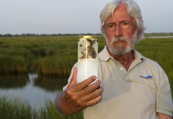 Jean-Michel observes the impact of oil and dispersant in the critical salt marsh habitats of Louisiana. Photo credit: © Carrie Vonderhaar, Ocean Futures Society