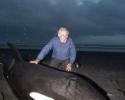Jean-Michel Cousteau braves the high winds and cold temperature to assist with the orca rescue, led by Dr. Ingrid Visser. © Matthew Ferraro, Ocean Futures Society Jean-Michel and Rakey