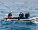 Paul Atkins, Director of Photographer, and dive team member Matt Ferraro head out for a dive on the Zodiac with Cameraman Antoine Rosset, filling in as boat driver. © Tom Ordway, Ocean Futures Society Diving