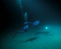 Night Dive