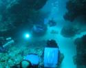 Underwater Filming