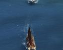 Hokule'a and The Seacher
