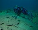 French Frigate Shoals