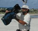 Filming a Sooty Tern
