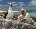 Jean-Michel Cousteau slowly creeps in for a closer look at this beautiful Laysan Albatross chick. © Tom Ordway, Ocean Futures Society Jean-Michel Cousteau