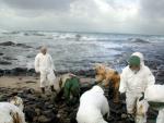 Jean-Michel Cousteau at the Prestige Oil Spill in Spain, 2002