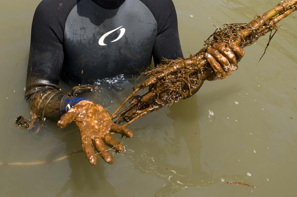 Jean-Michel Cousteau’s team were the first in the water following the Deepwater Horizon oil spill. Photo credit: © Carrie Vonderhaar, Ocean Futures Society
