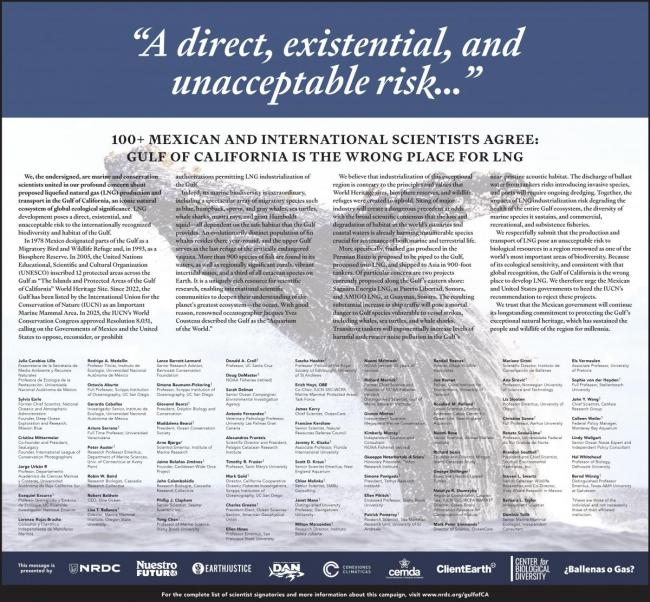 gulf lng.scientists ad.english.sept 10 2026.final__0.jpg
